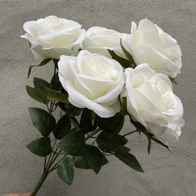 Rose, 7 head Rosa Diamond, regular texture, 21848713713