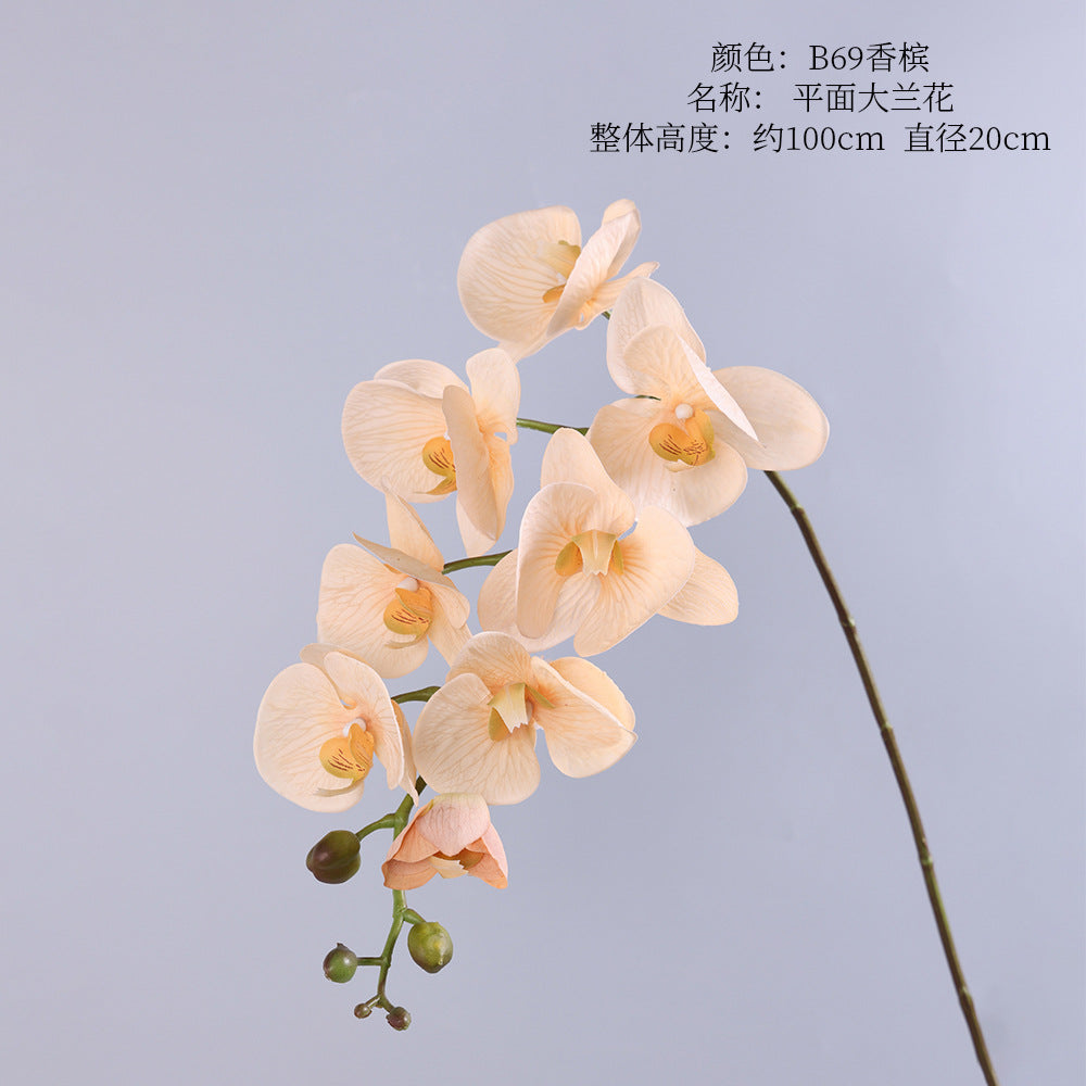 Phalaenopsis, Top quality, real texture artificial flower, 2106300