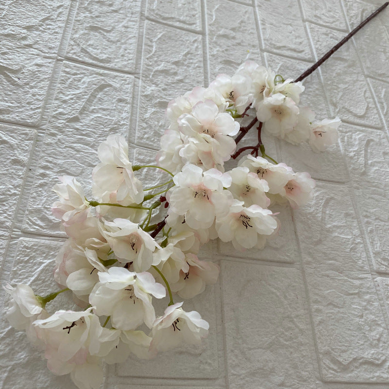 Cherry blossom, countryside style, regular texture, 21791616321