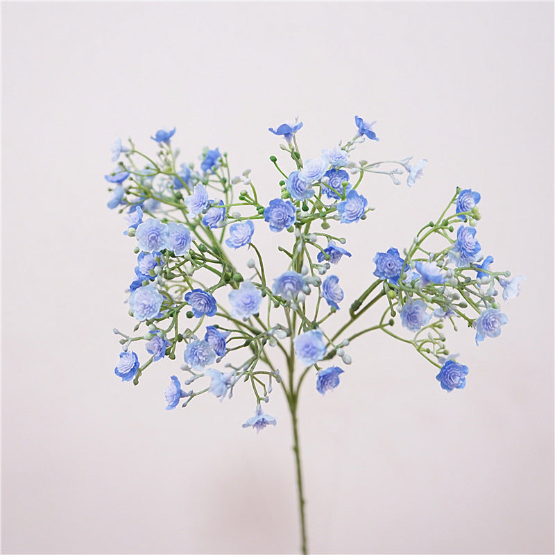 Baby's breath, blossom & seeds, regular texture, 2168
