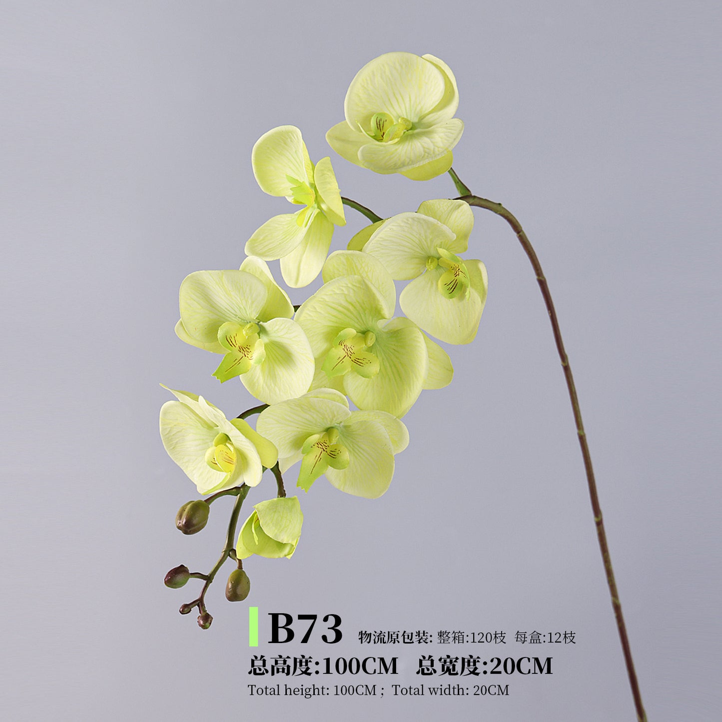 Phalaenopsis, Top quality, real texture artificial flower, 2106300