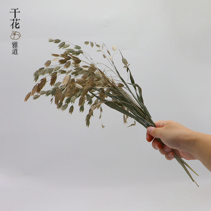 natural dry plants, 36528