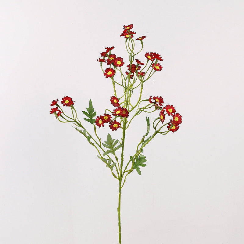 Aster, small daisy, yellow core, regular texture, 56092