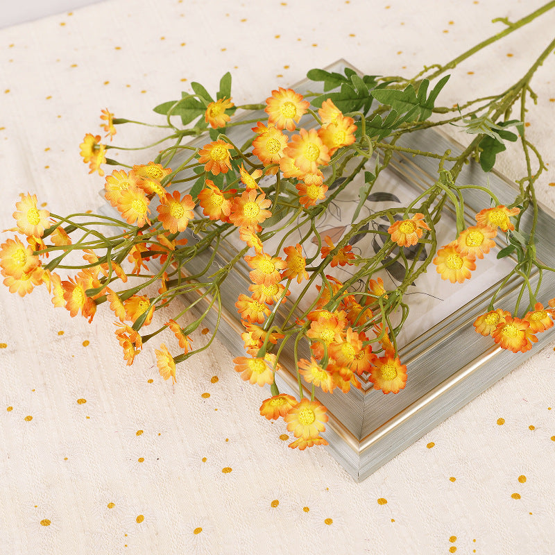 Aster, small daisy, yellow core, regular texture, 56092