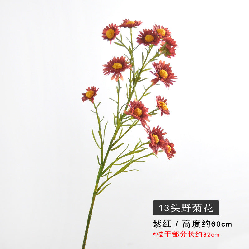 Aster, small daisy, 13heads, yellow core, regular texture, 736206