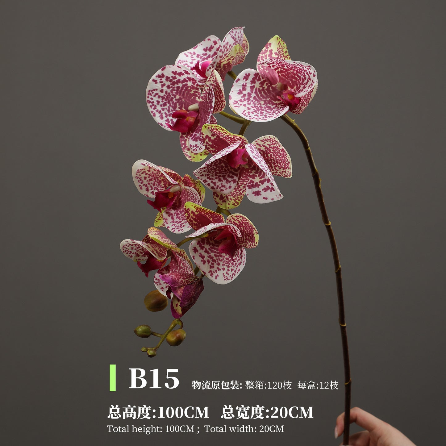 Phalaenopsis, Top quality, real texture artificial flower, 2106300