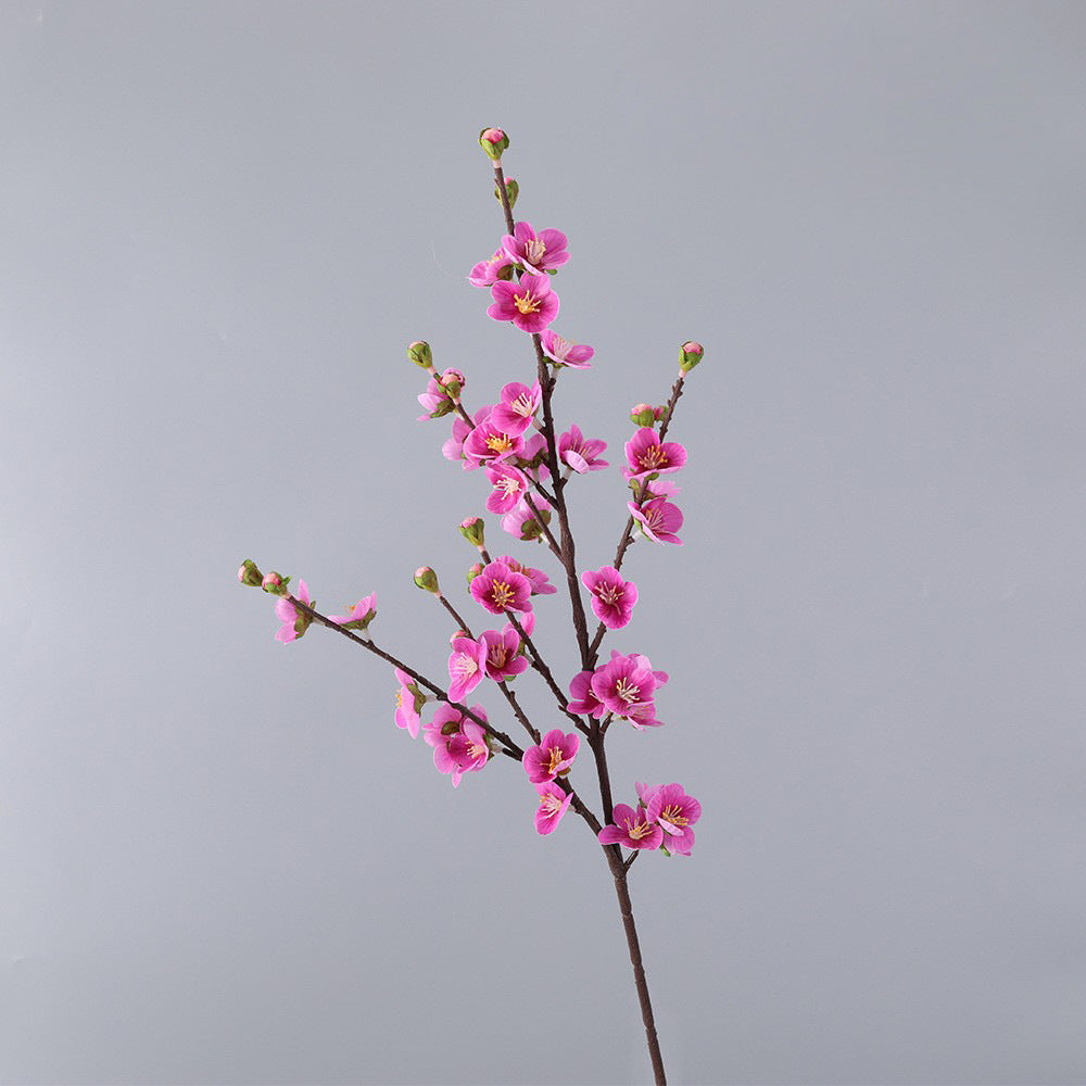 Cherry blossom, with buds, special texture, 23080601