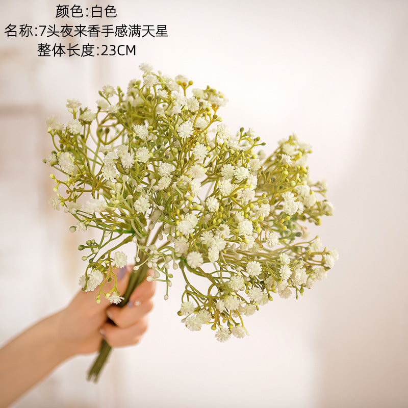 Baby's breath, a bundle, regular texture, 79901