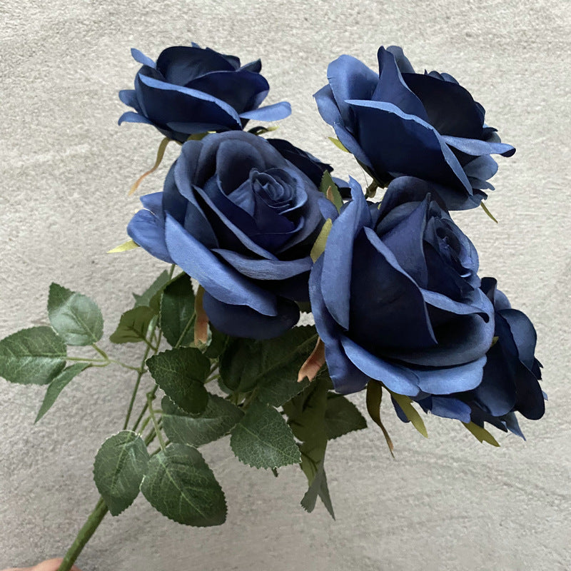 Rose, 7 head Rosa Diamond, regular texture, 21848713713