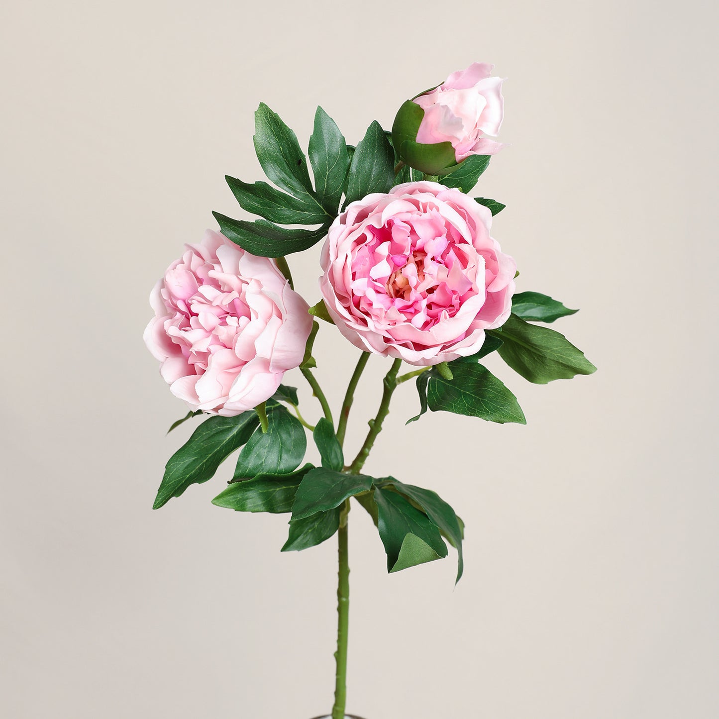 Peony, 3 heads, MOQ 100 each color, real texture artificial flower, 3403P