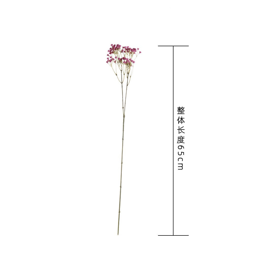 Baby's breath, long, 2 branches, regular texture, 1-484