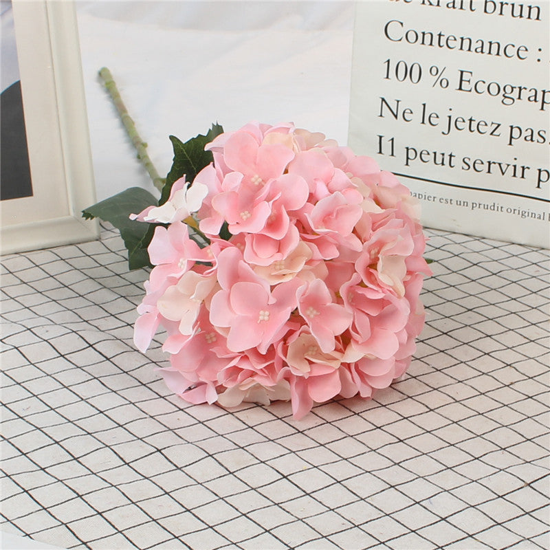 Hydrangeas, all colors, regular texture, 284619