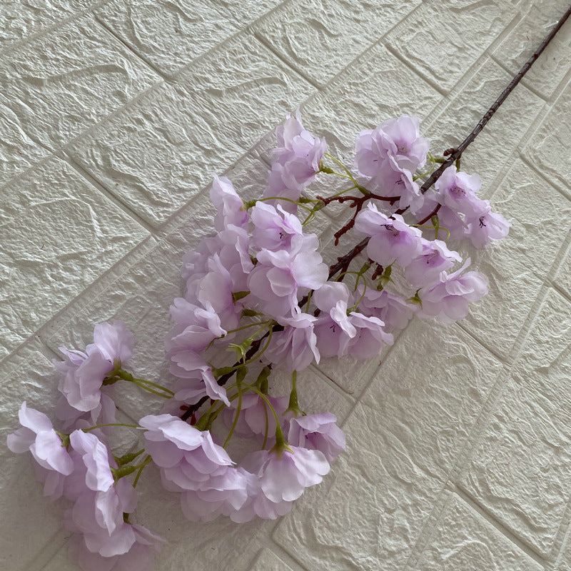 Cherry blossom, countryside style, regular texture, 21791616321