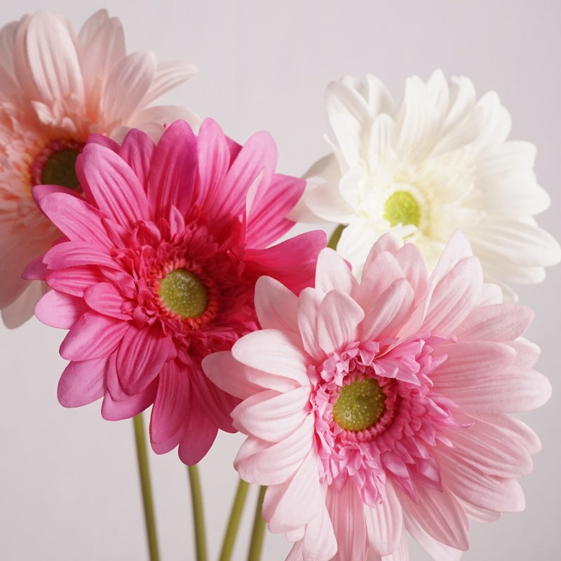 Daisy, large African daisy, real texture artificial flower, 519786
