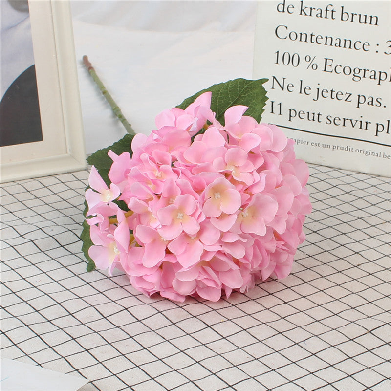 Hydrangeas, all colors, regular texture, 284619