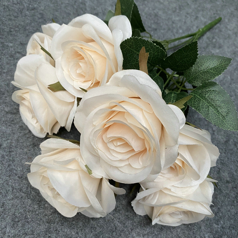 Rose, 7 head Rosa Diamond, regular texture, 21848713713