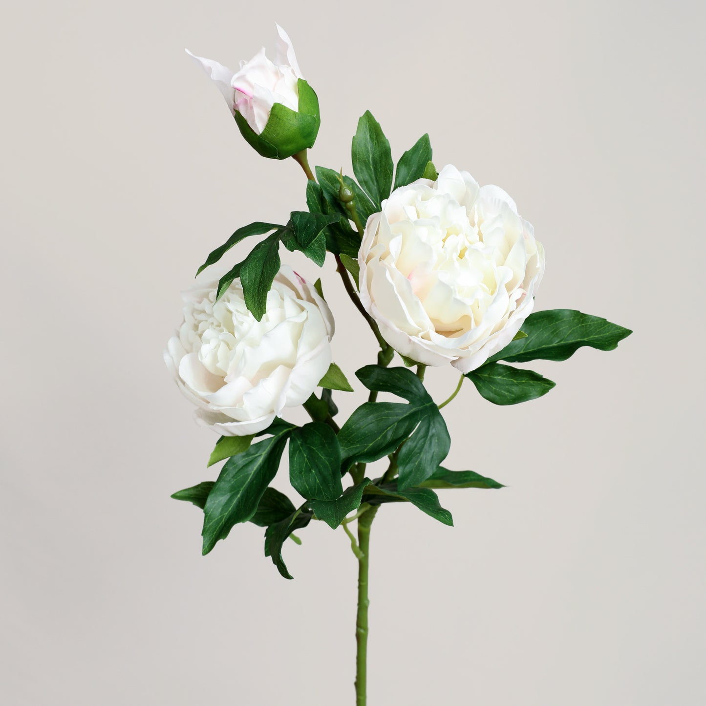 Peony, 3 heads, MOQ 100 each color, real texture artificial flower, 3403P