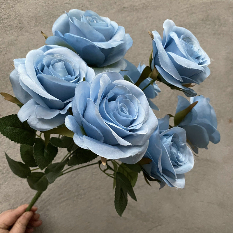 Rose, 7 head Rosa Diamond, regular texture, 21848713713