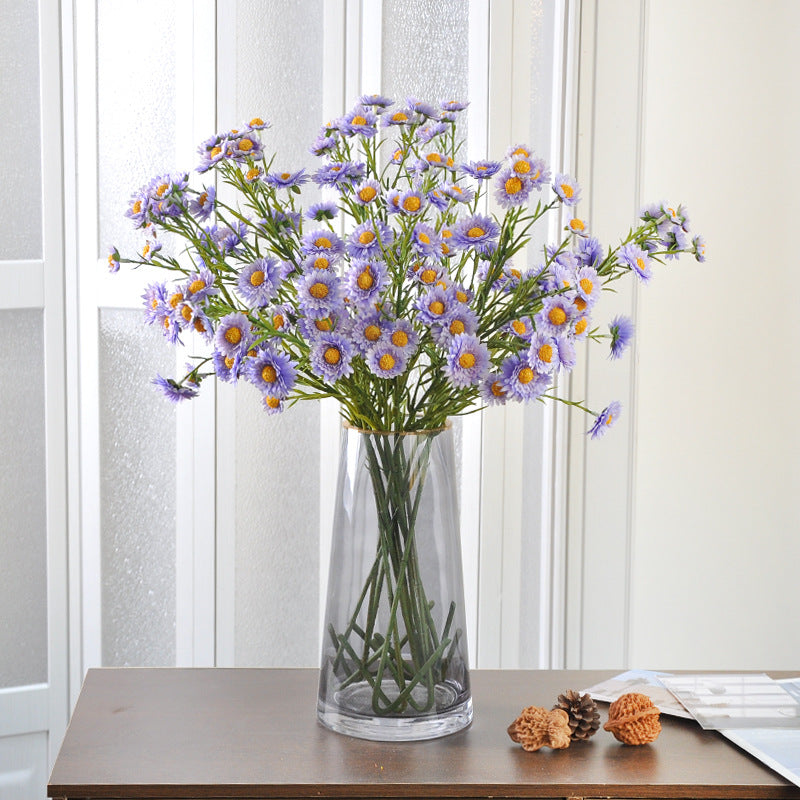 Aster, small daisy, 13heads, yellow core, regular texture, 736206