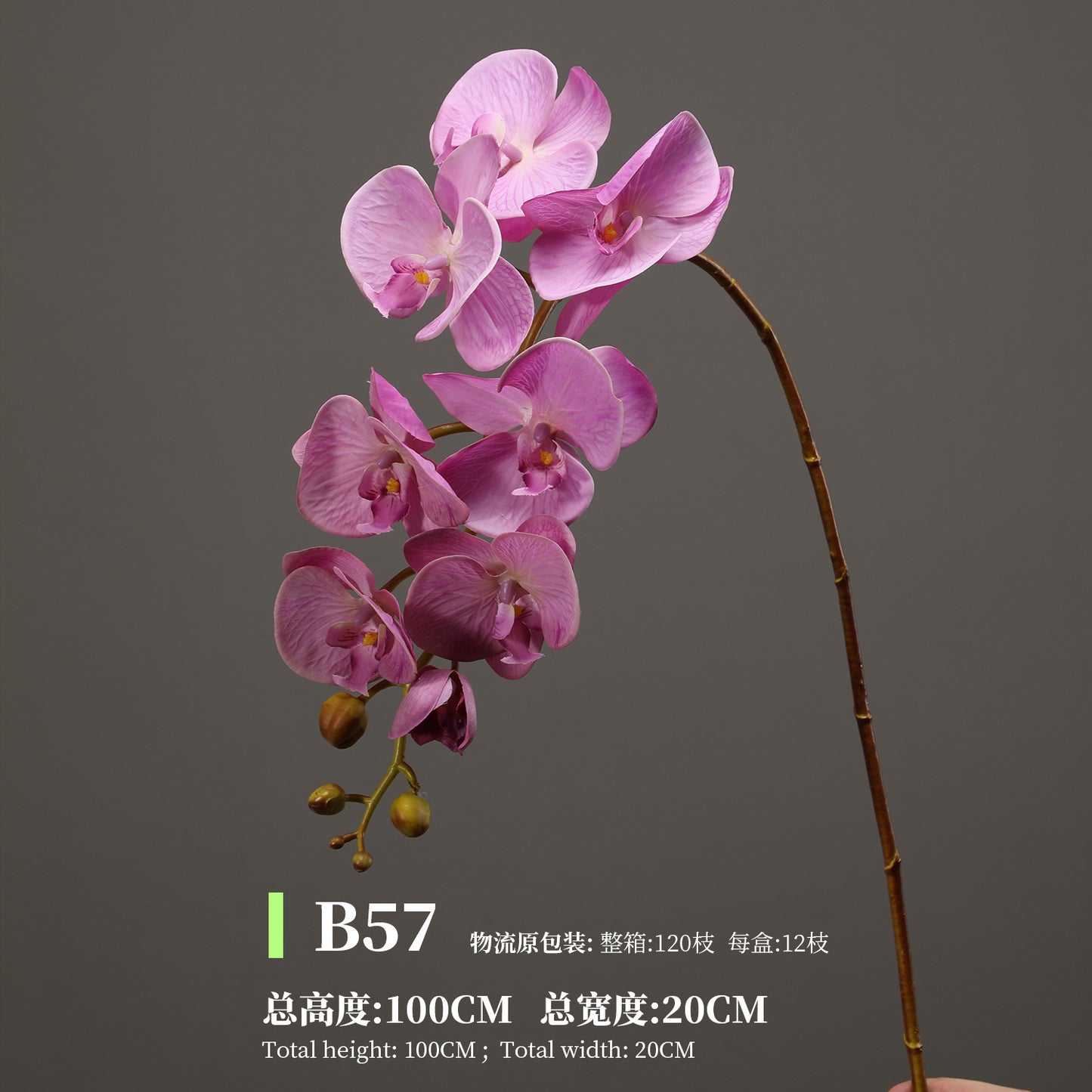 Phalaenopsis, Top quality, real texture artificial flower, 2106300