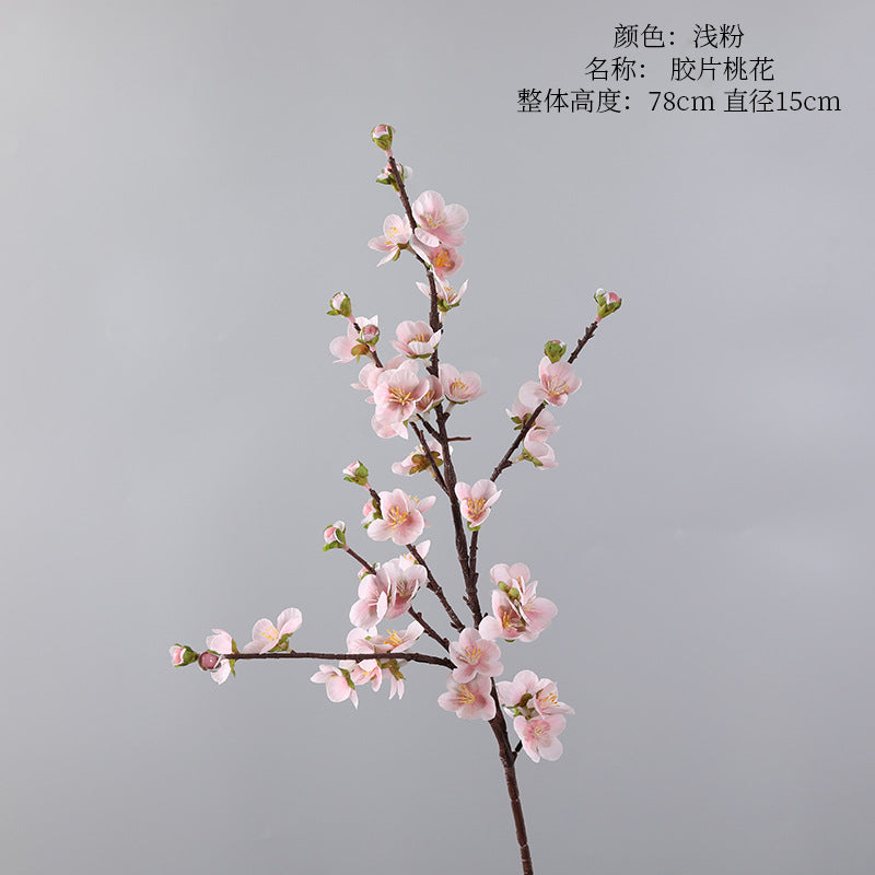 Cherry blossom, with buds, special texture, 23080601