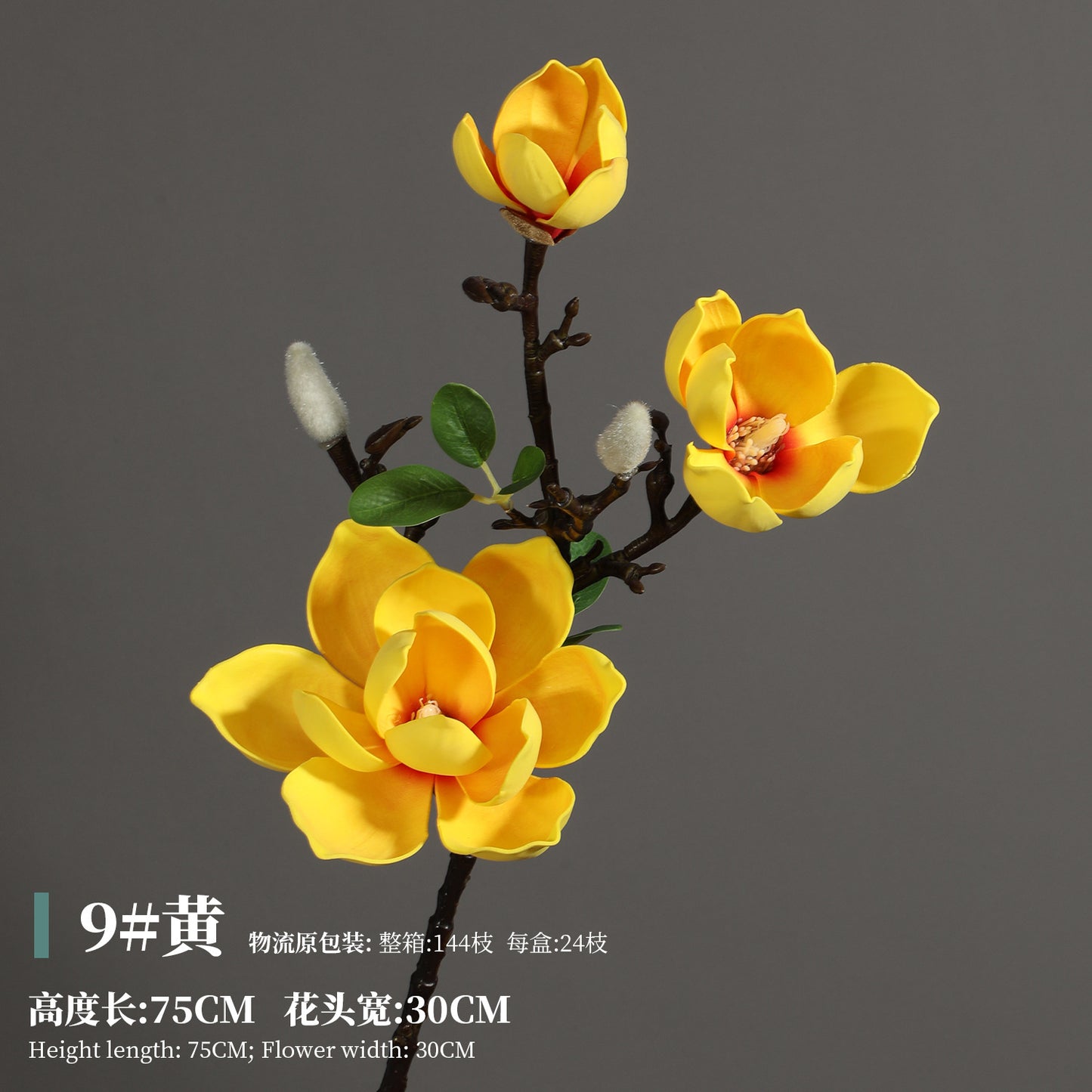 Magnolia, Chinese lily, special texture, 21061601