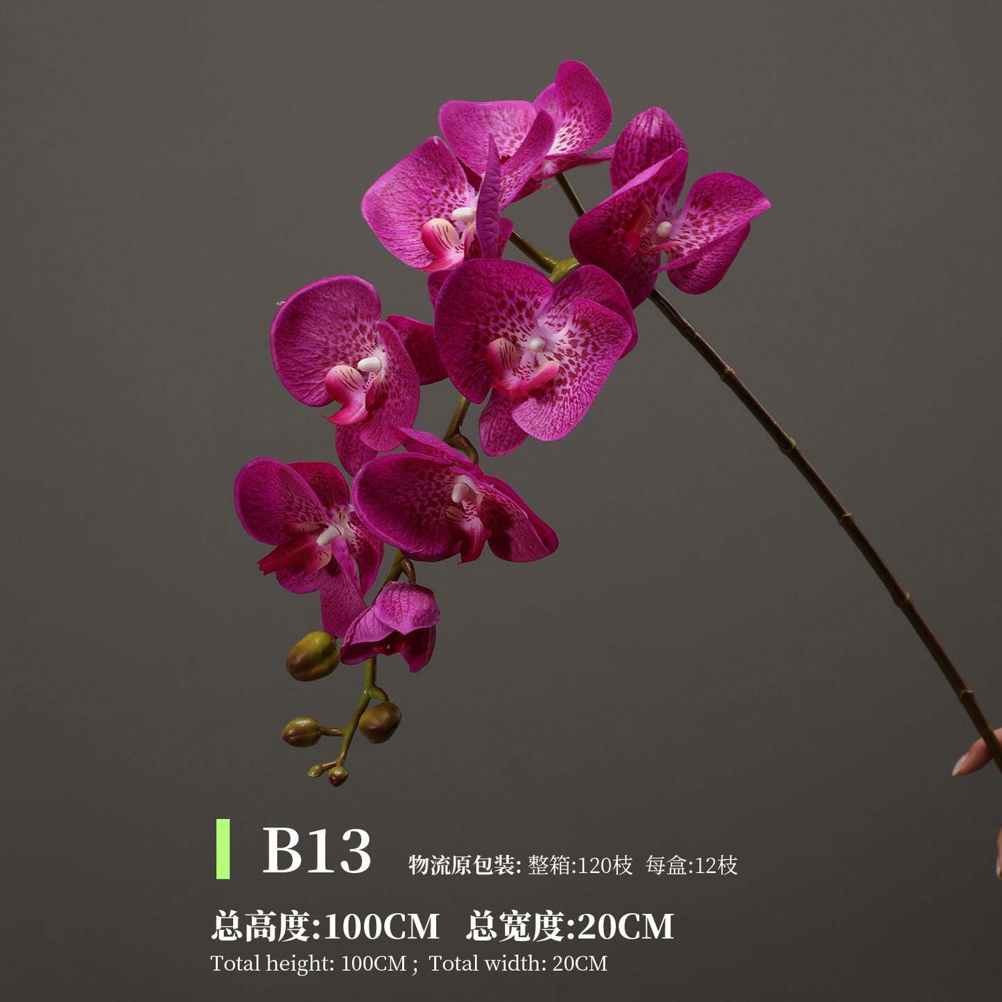 Phalaenopsis, Top quality, real texture artificial flower, 2106300