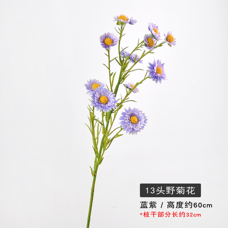 Aster, small daisy, 13heads, yellow core, regular texture, 736206