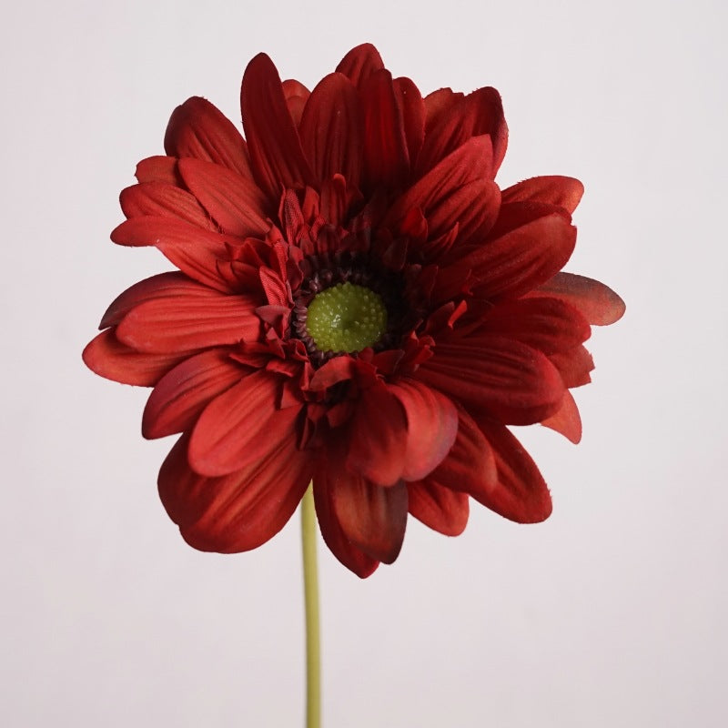 Daisy, large African daisy, real texture artificial flower, 519786