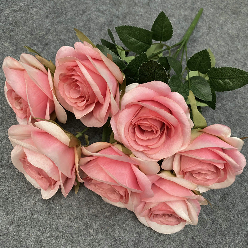 Rose, 7 head Rosa Diamond, regular texture, 21848713713