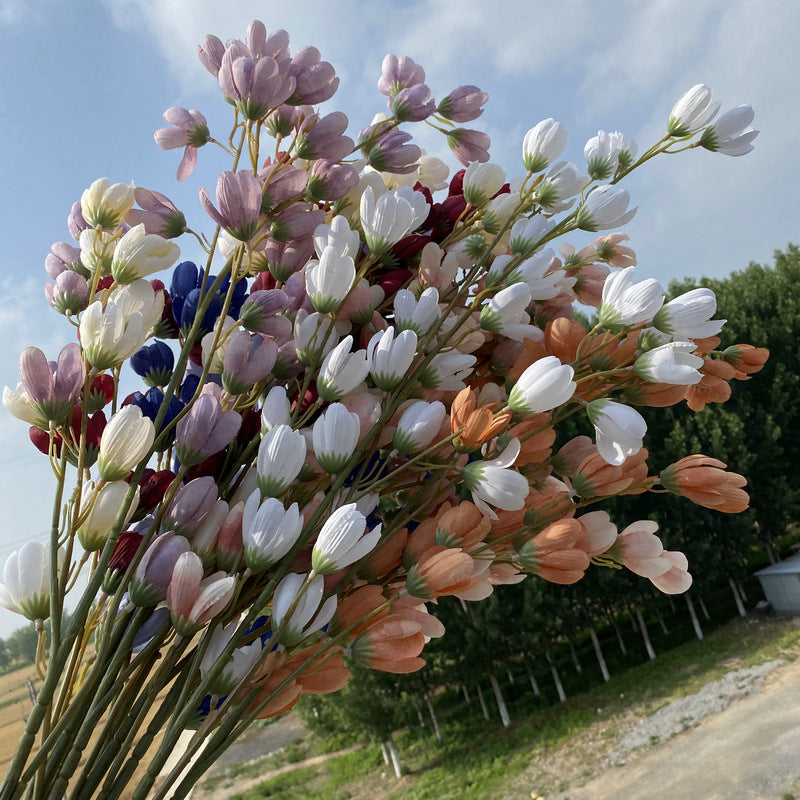 Lover buds, long, regular texture, 21791616321