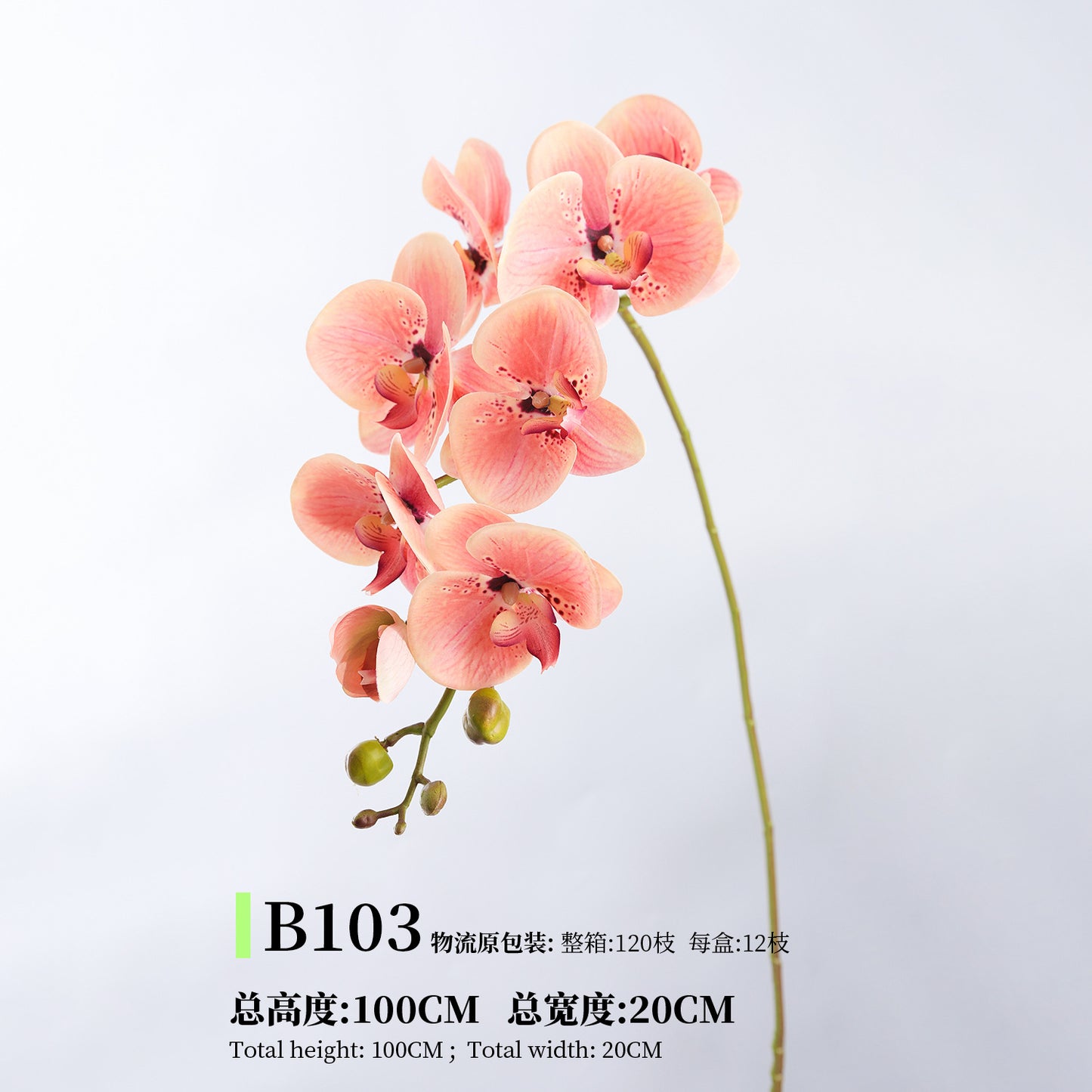 Phalaenopsis, Top quality, real texture artificial flower, 2106300