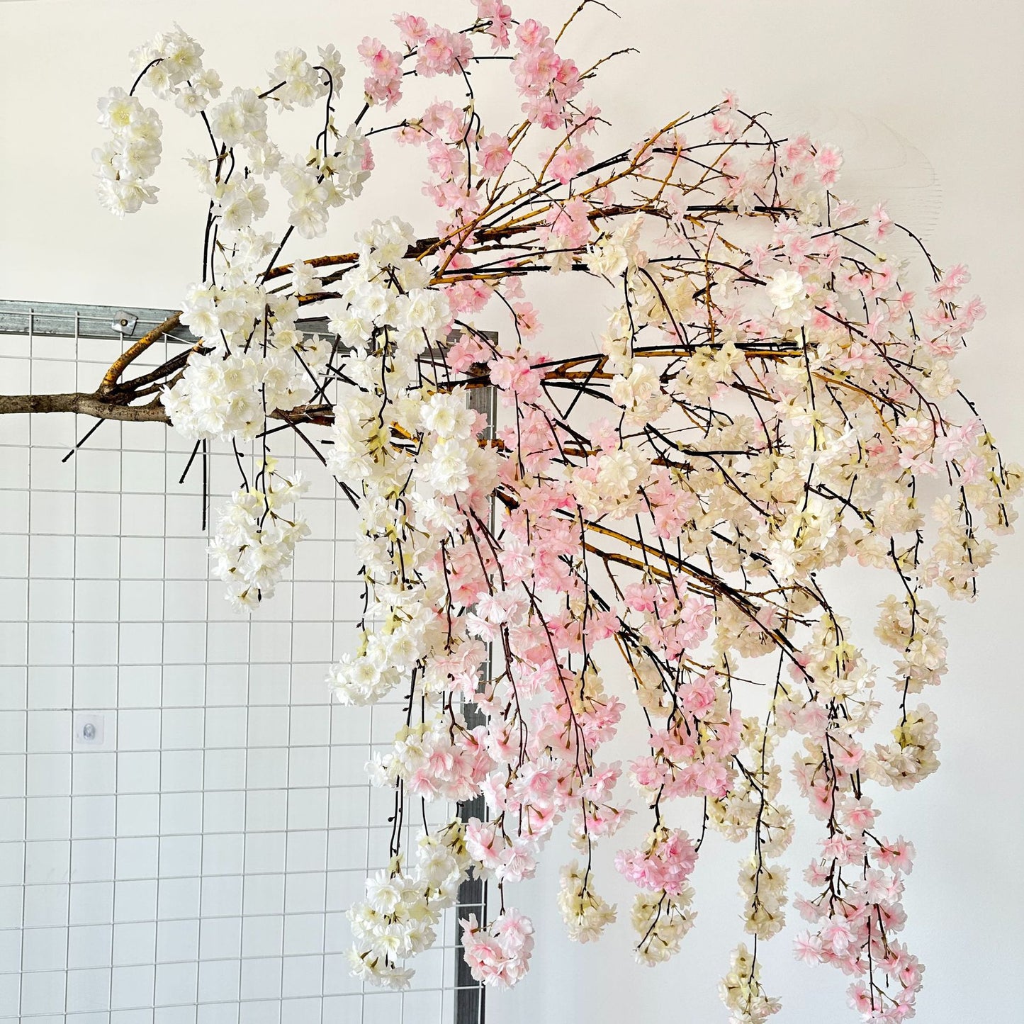 Cherry blossom, waterfall, regular texture, 21886647328
