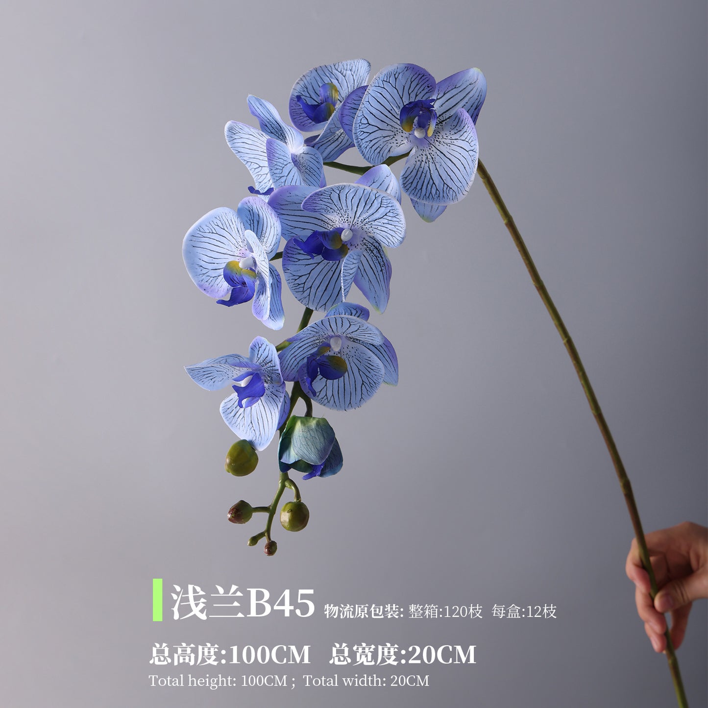 Phalaenopsis, Top quality, real texture artificial flower, 2106300