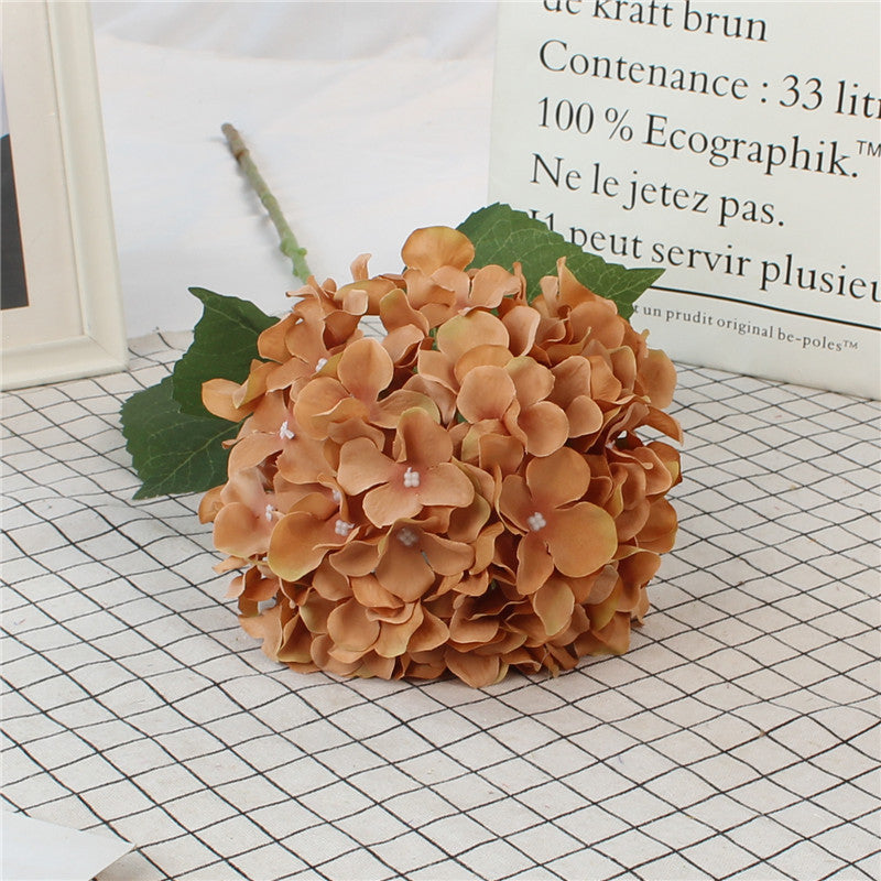 Hydrangeas, all colors, regular texture, 284619