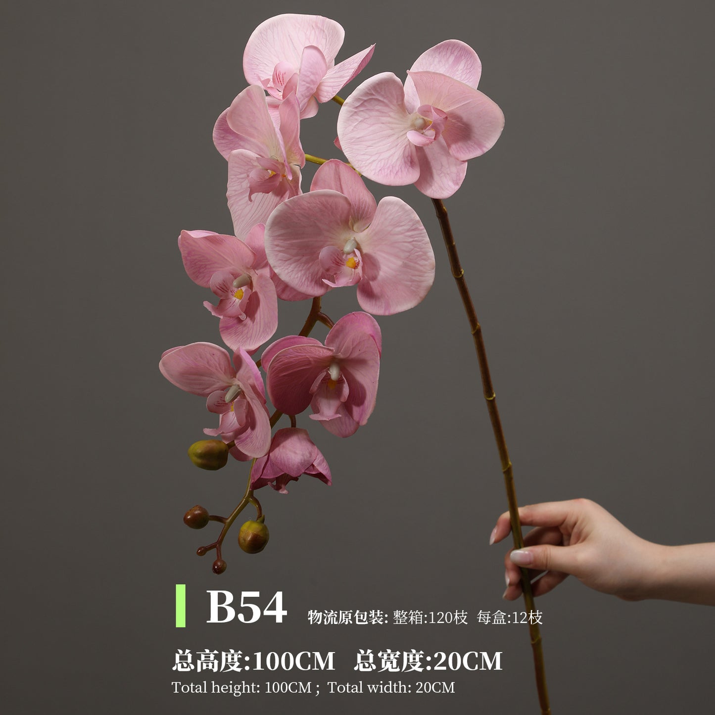Phalaenopsis, Top quality, real texture artificial flower, 2106300