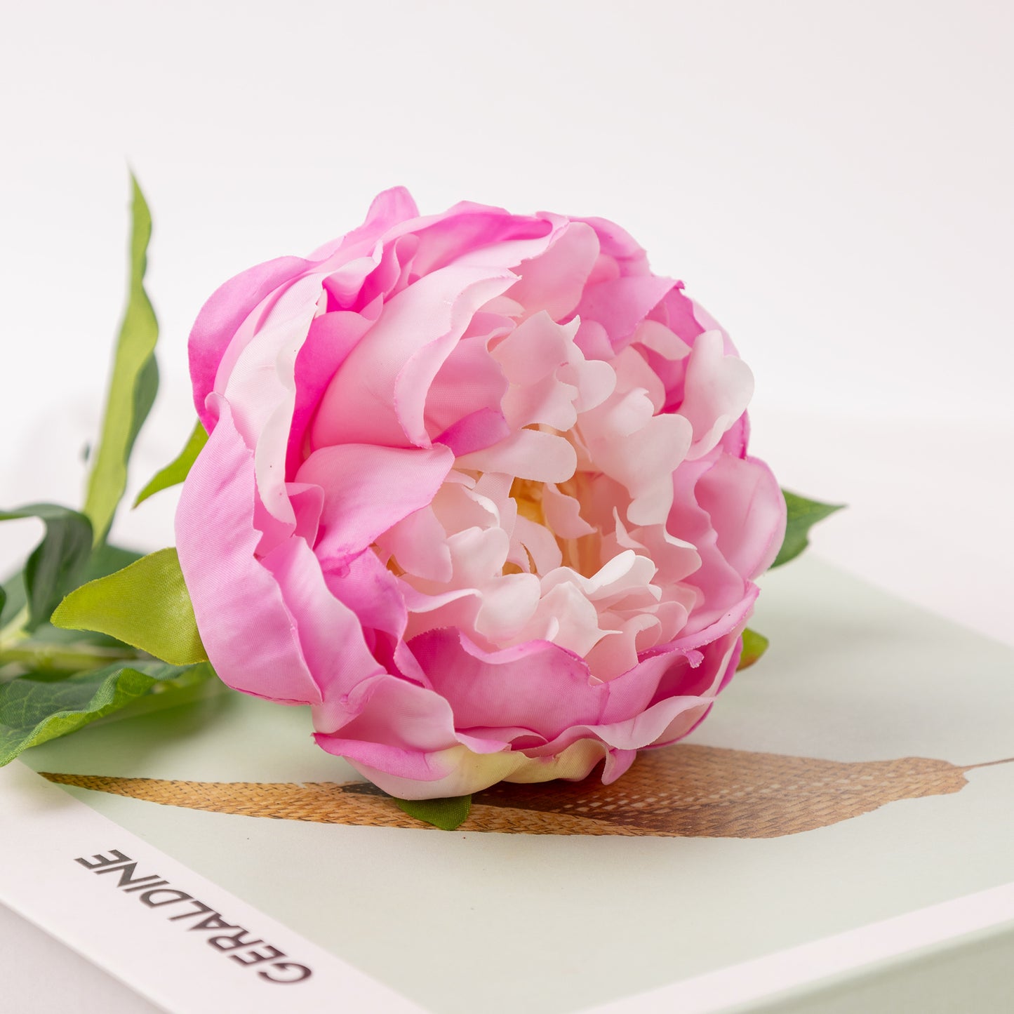 Peony, 1 head, MOQ 100 each color, real texture artificial flower, 3401P