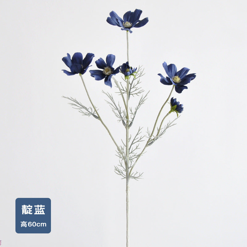 Daisy, garden cosmos, 6 heads, regular texture, 736204