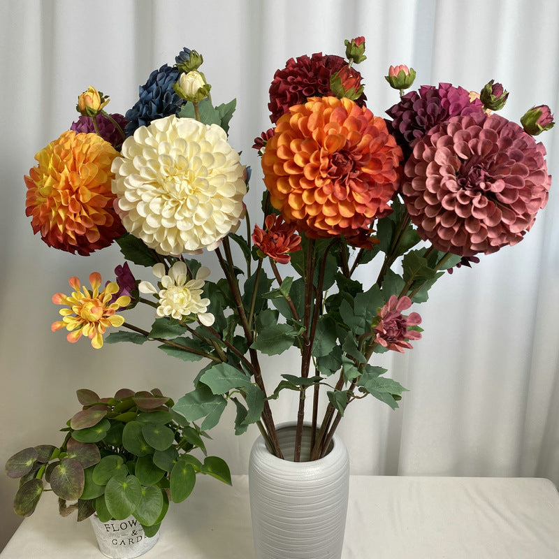 Chinese Dahlia, all colors, regular texture, 3568059