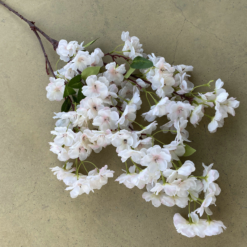 Cherry blossom, countryside style, regular texture, 21791616321