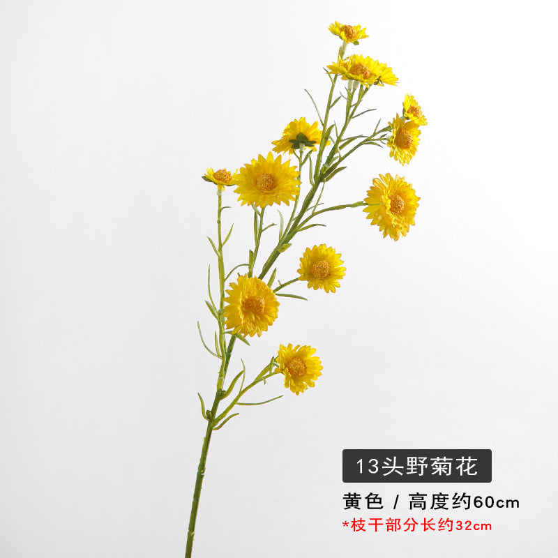 Aster, small daisy, 13heads, yellow core, regular texture, 736206