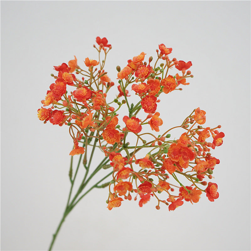 Baby's breath, blossom & seeds, regular texture, 2168