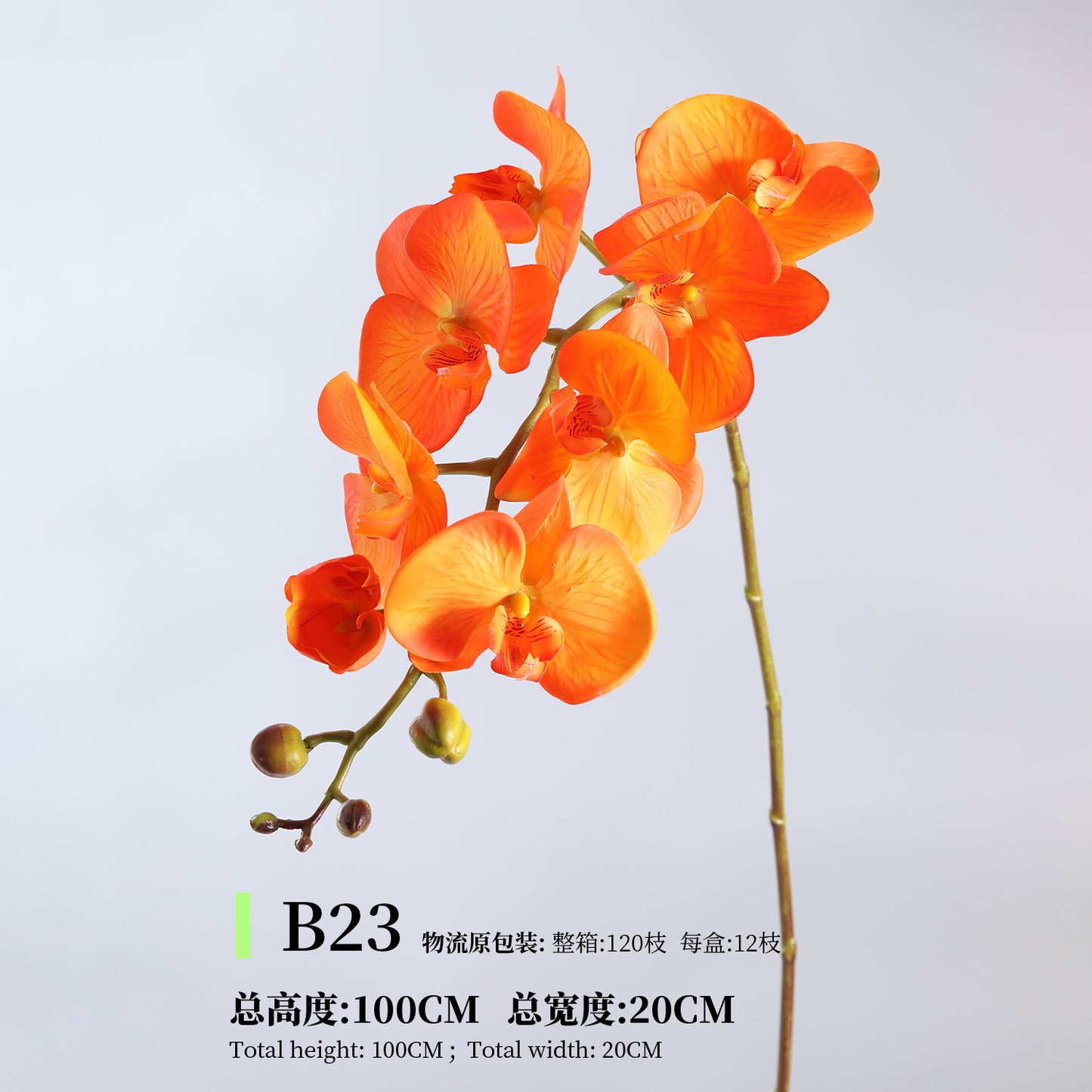 Phalaenopsis, Top quality, real texture artificial flower, 2106300