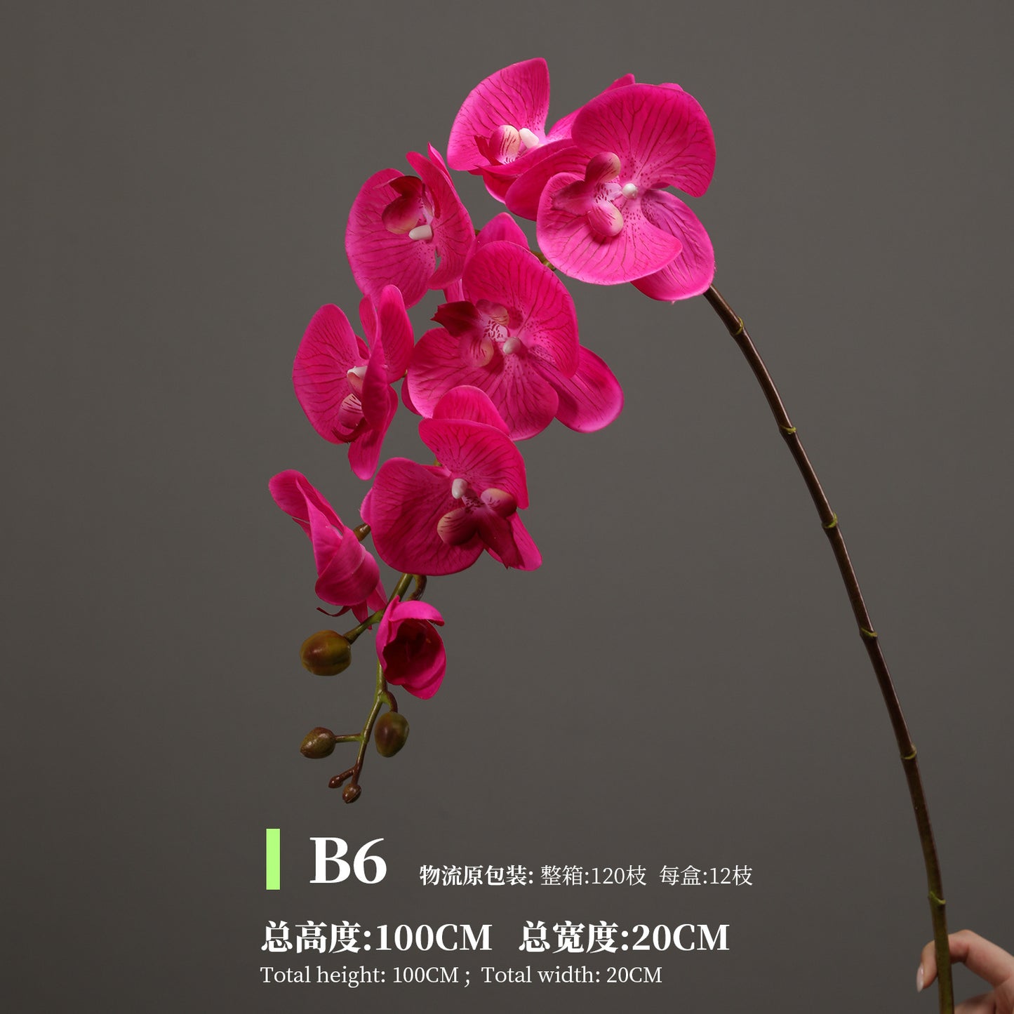Phalaenopsis, Top quality, real texture artificial flower, 2106300