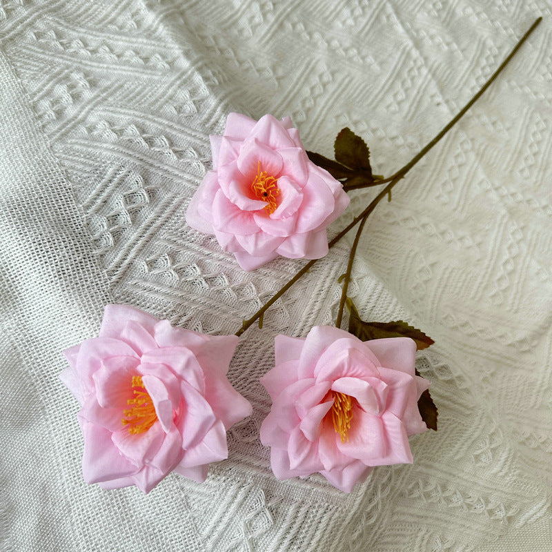 Rose, 3 head, regular texture, 21848713714