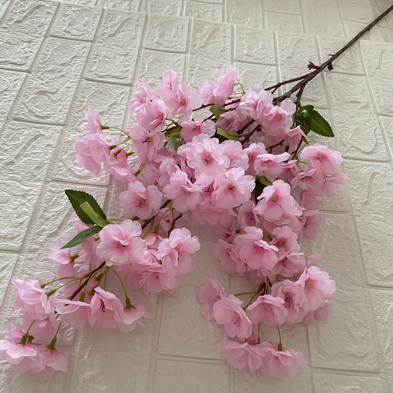 Cherry blossom, countryside style, regular texture, 21791616321
