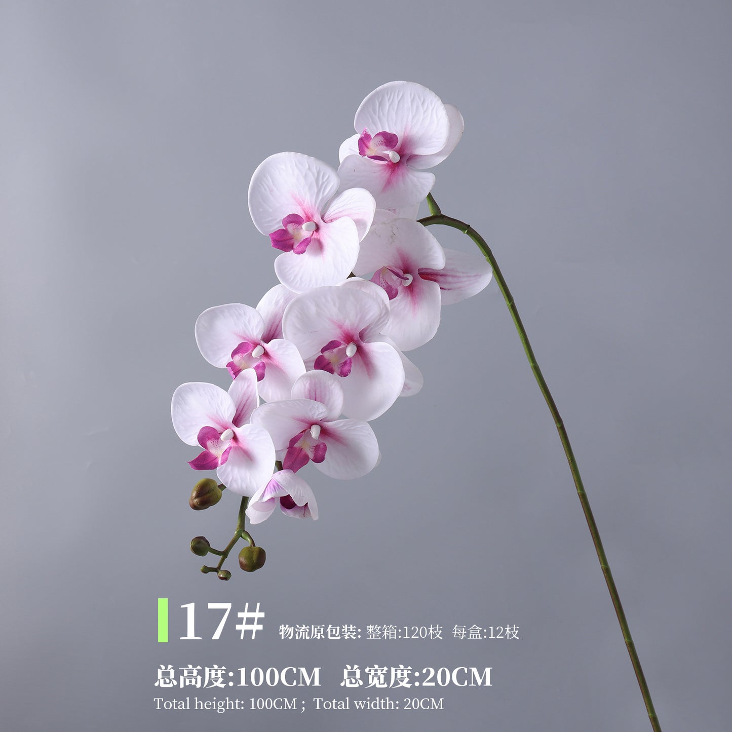Phalaenopsis, Top quality, real texture artificial flower, 2106300
