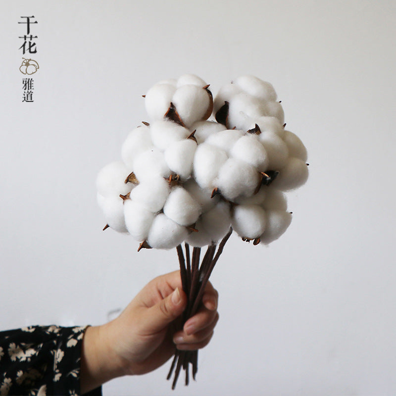 natural dry plants, 36528