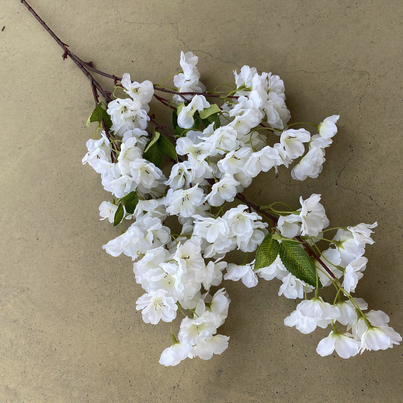Cherry blossom, countryside style, regular texture, 21791616321