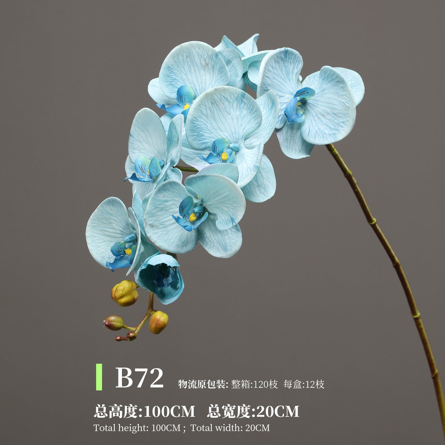 Phalaenopsis, Top quality, real texture artificial flower, 2106300